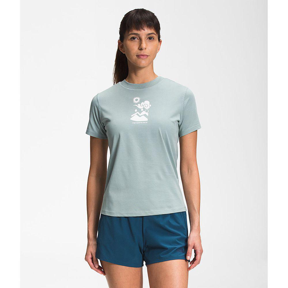 The North Face Κοντό Μανίκι Himalayan Bottle Source Γυναικεια T Shirt - Ασημι Μπλε (RBNK79814)